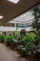 DSC_7515.jpg