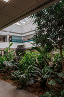 DSC_7516.jpg