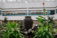 DSC_7517.jpg