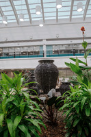 DSC_7519.jpg