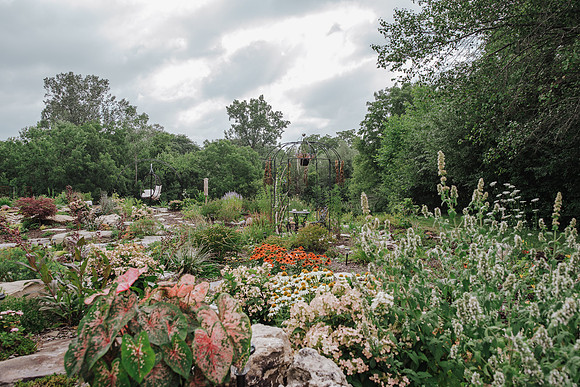 DSC_7720.jpg