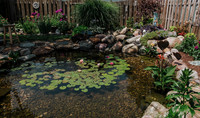 DSC_7446.jpg