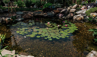 DSC_7447.jpg