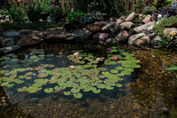 DSC_7449.jpg