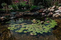 DSC_7450.jpg