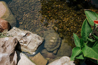 DSC_7457.jpg