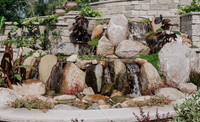 DSC_7387.jpg
