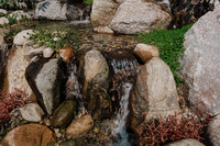 DSC_7404.jpg