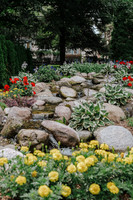 _CCW0447.jpg