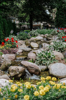 _CCW0449.jpg