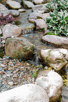 _CCW0470.jpg