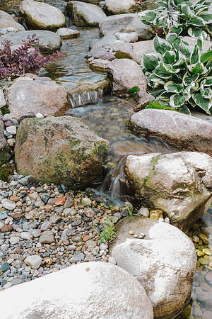 _CCW0470.jpg