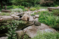 DSC_7806.jpg