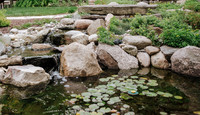 DSC_7812.jpg