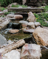 DSC_7818.jpg