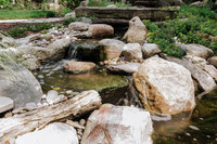 DSC_7823.jpg