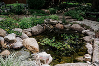 DSC_7828.jpg