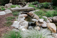 DSC_7832.jpg