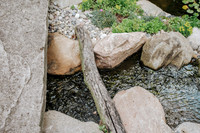 DSC_7842.jpg