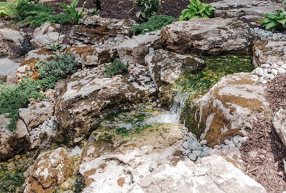 DSC_7876.jpg