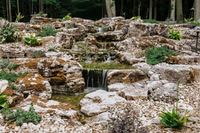 DSC_7913.jpg