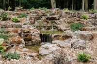 DSC_7915.jpg