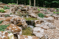 DSC_7925.jpg