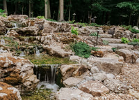 DSC_7927.jpg