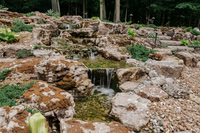 DSC_7928.jpg