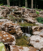 DSC_7929.jpg