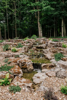 DSC_7931.jpg