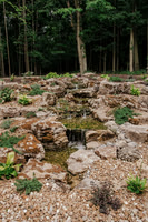 DSC_7932.jpg
