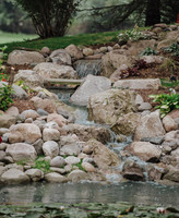 DSC_7952.jpg