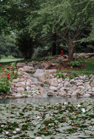 DSC_7951.jpg