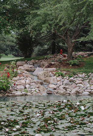 DSC_7951.jpg