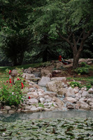 DSC_7963.jpg