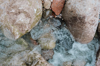 _CCW0690.jpg
