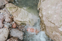 _CCW0689.jpg