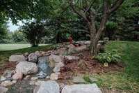 DSC_7974.jpg