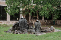 DSC_8050.jpg