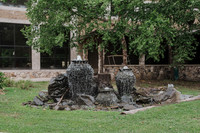 DSC_8049.jpg