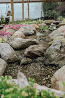 _CCW0837.jpg