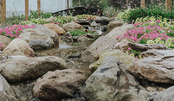 _CCW0840.jpg
