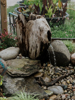 _CCW0844.jpg