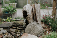 _CCW0848.jpg