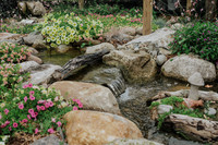 _CCW0861.jpg