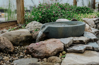 _CCW0859.jpg