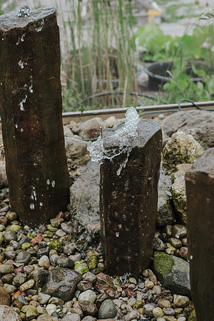 _CCW0870.jpg