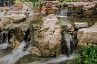 DSC_8149.jpg