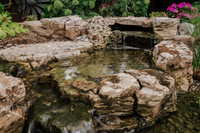 DSC_8154.jpg